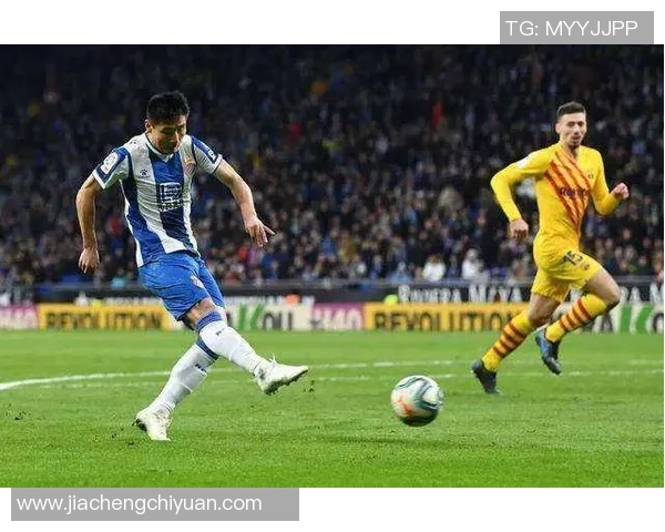 追逐梦想的绿茵传奇我的足球明星之路与成长故事